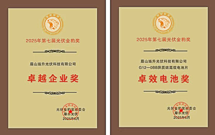 琏升光伏斩获2025年金豹奖双项殊荣